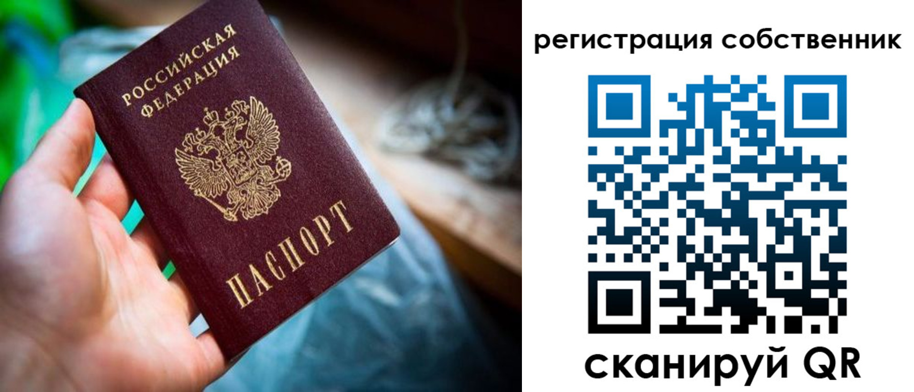 прописка гарантия в Сафоново